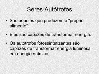 Seres Autótrofos
• São aqueles que produzem o “próprio
alimento”.
• Eles são capazes de transformar energia.
• Os autótrofos fotossintetizantes são
capazes de transformar energia luminosa
em energia química.
 