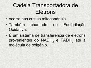 Cadeia Transportadora de
Elétrons
• ocorre nas cristas mitocondriais.
• Também chamado de Fosforilação
Oxidativa.
• É um sistema de transferência de elétrons
provenientes do NADH2 e FADH2 até a
molécula de oxigênio.
 