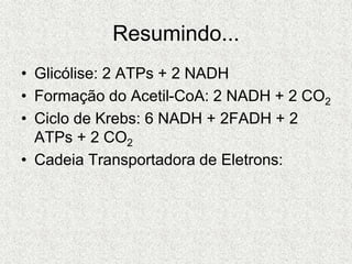 Resumindo...
• Glicólise: 2 ATPs + 2 NADH
• Formação do Acetil-CoA: 2 NADH + 2 CO2
• Ciclo de Krebs: 6 NADH + 2FADH + 2
ATPs + 2 CO2
• Cadeia Transportadora de Eletrons:
 