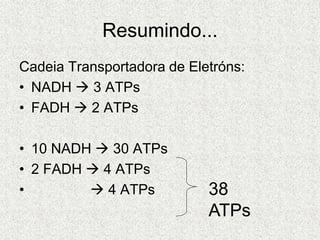 Cadeia Transportadora de Eletróns:
• NADH  3 ATPs
• FADH  2 ATPs
• 10 NADH  30 ATPs
• 2 FADH  4 ATPs
•  4 ATPs
Resumindo...
38
ATPs
 