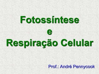 Fotossíntese
e
Respiração Celular
Prof.: André Pennycook
 