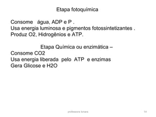 Etapa fotoquímica 
Consome água, ADP e P . 
Usa energia luminosa e pigmentos fotossintetizantes . 
Produz O2, Hidrogênios e ATP. 
Etapa Química ou enzimática – 
Consome CO2 
Usa energia liberada pelo ATP e enzimas 
Gera Glicose e H2O 
professora Ionara 14 
 