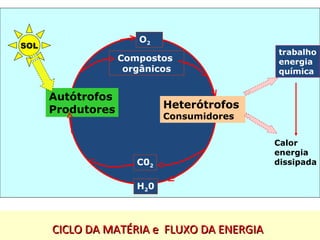 Compostos 
orgânicos 
CCIICCLLOO DDAA MMAATTÉÉRRpIIrAAofe seeso r a F FIoLnLaUUra XXOO DDAA EENNEERRGGIIAA 3 
SOL 
Autótrofos 
Produtores Heterótrofos 
Consumidores 
H20 
trabalho 
energia 
química 
Calor 
energia 
dissipada 
O2 
C02 
 