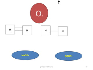 O2 
H H H H 
NADP- NADP- 
professora Ionara 31 
 