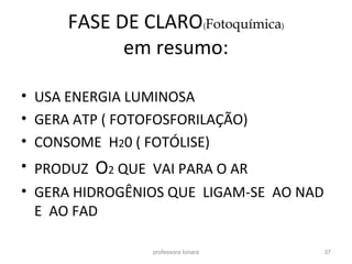 FASE DE CLARO(Fotoquímica) 
em resumo: 
• USA ENERGIA LUMINOSA 
• GERA ATP ( FOTOFOSFORILAÇÃO) 
• CONSOME H20 ( FOTÓLISE) 
• PRODUZ O2 QUE VAI PARA O AR 
• GERA HIDROGÊNIOS QUE LIGAM-SE AO NAD 
E AO FAD 
professora Ionara 37 
 
