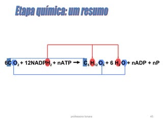 6C O2 + 12NADPH2 + nATP C6 H12 O6 + 6 H2 O + nADP + nP 
professora Ionara 45 
 