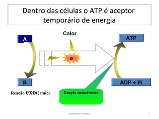Dentro das células o ATP é aceptor 
temporário de energia 
ATP 
Calor 
e 
professora Ionara 7 
A 
B ADP + Pi 
RReeaaççããoo eennddoottéérrmmiiccaa 
Reação exotérmica 
 