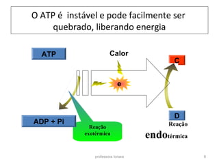O ATP é instável e pode facilmente ser 
quebrado, liberando energia 
Calor 
Reação 
exotérmica 
Reação 
exotérmica 
C 
D 
e 
Reação 
endotérmica 
professora Ionara 8 
ATP 
ADP + Pi 
 