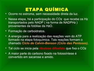ETAPA QUÍMICA

Ocorre no estroma, sem necessidade direta da luz.

Nessa etapa, há a participação do CO2 que recebe os H2
transportados pelo NADP ( na forma de NADPH2 )
provenientes da fotólise da H2O.

Formação de carboidratos.

A energia para a realização das reações vem do ATP
formado na etapa fotoquímica. Tais reações formam o
chamado Ciclo de Calvin-Benson (Ciclo das Pentoses).

Tal ciclo se inicia pela ribulose difosfato que fixa o CO2

A maior parte do carbono fixado na fotossíntese é
convertido em sacarose e amido.
 