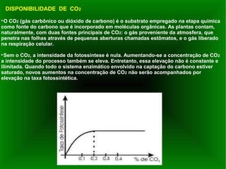 DISPONIBILIDADE DE CO2

O CO2 (gás carbônico ou dióxido de carbono) é o substrato empregado na etapa química
como fonte do carbono que é incorporado em moléculas orgânicas. As plantas contam,
naturalmente, com duas fontes principais de CO2: o gás proveniente da atmosfera, que
penetra nas folhas através de pequenas aberturas chamadas estômatos, e o gás liberado
na respiração celular.

Sem o CO2, a intensidade da fotossíntese é nula. Aumentando-se a concentração de CO2
a intensidade do processo também se eleva. Entretanto, essa elevação não é constante e
ilimitada. Quando todo o sistema enzimático envolvido na captação do carbono estiver
saturado, novos aumentos na concentração de CO2 não serão acompanhados por
elevação na taxa fotossintética.
 