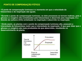 
O ponto de compensação luminoso é o momento em que a velocidade da
fotossíntese e da respiração são iguais.

Durante o ponto de compensação luminoso, os dois processos se tornam inativos, pois a
glicose e o oxigênio (O2) sintetizados pela fotossíntese é absorvido pela respiração. E o
dióxido de carbono (CO2) sintetizado na respiração é absorvido na respiração.

Ainda assim, as plantas com o ponto de compensação luminoso alto, possuem a
intensidade da fotossíntese maior que a intensidade da respiração. O que quer dizer que a
glicose e o oxigênio são mais produzidos do que absorvidos, resultando no
desenvolvimento da planta.
PONTO DE COMPENSAÇÃO FÓTICO
 