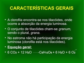 CARACTERÍSTICAS GERAIS

A clorofila encontra-se nos tilacóides, onde
ocorre a absorção da energia luminosa.

O conjunto de tilacóides cham-se granum,
sendo o plural, grana.

No estroma não há participação da energia
luminosa (clorofila está nos tilacóides).

Equação geral:

6 CO2 + 12 H2O C6H12O6 + 6 H2O + 6 O2
 