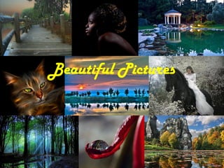 Beautiful Pictures
 