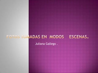 Juliana Gallego .
 