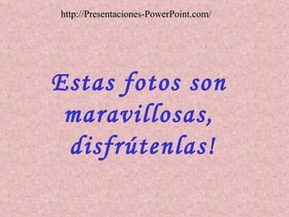 Estas fotos son maravillosas, disfrútenlas! http://Presentaciones-PowerPoint.com/ 