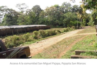 Acceso A la comunidad San Miguel Pajapa, Pajapita San Marcos
 
