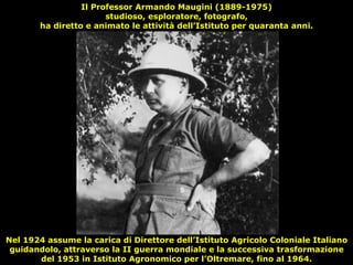 Nel 1924 assume la carica di Direttore dell’Istituto Agricolo Coloniale Italiano guidandolo, attraverso la II guerra mondiale e la successiva trasformazione del 1953 in Istituto Agronomico per l’Oltremare, fino al 1964. Il Professor Armando Maugini (1889-1975) studioso, esploratore, fotografo, ha diretto e animato le attività dell’Istituto per quaranta anni. 