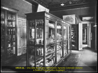 1914 ca.  - Una sala del Museo dell'Istituto Agricolo Coloniale Italiano a Palazzo Poniatowsky-Guadagni 