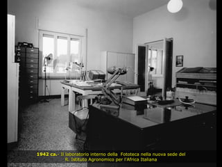 1942 ca. - Il laboratorio interno della  Fototeca nella nuova sede del R. Istituto Agronomico per l'Africa Italiana 