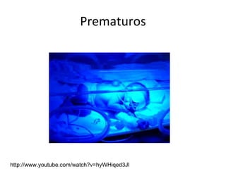 Prematuros http://www.youtube.com/watch?v=hyWHiqed3JI 