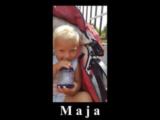 M a j a
 