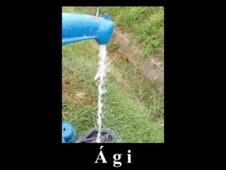 Á g i
 