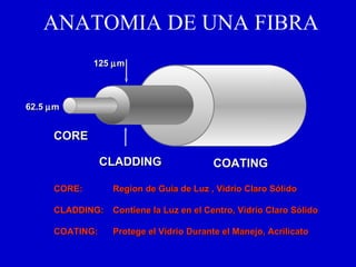ANATOMIA DE UNA FIBRA CORE:  Region de Guía de Luz , Vidrio Claro Sólido CLADDING:  Contiene la Luz en el Centro, Vidrio Claro Sólido COATING:  Protege el Vidrio Durante el Manejo, Acrilicato 62.5   m 125   m CORE CLADDING COATING 