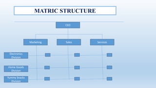 MATRIC STRUCTURE
CEO
Marketing ServicesSales
Electronics
Division
Yummy Snacks
Division
Home Goods
Division
 