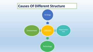 CAUSES
Strategy
Organization
Size
Technology
Environment
Causes Of Different Structure
 