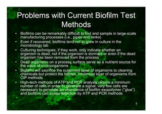 Early Biofilm Detection | PDF