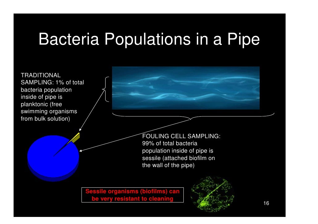data sampling c++ Detection Early Biofilm