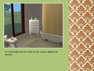 Er is natuurlijk ook een toilet en een luxueus ligbad met
douche.
 