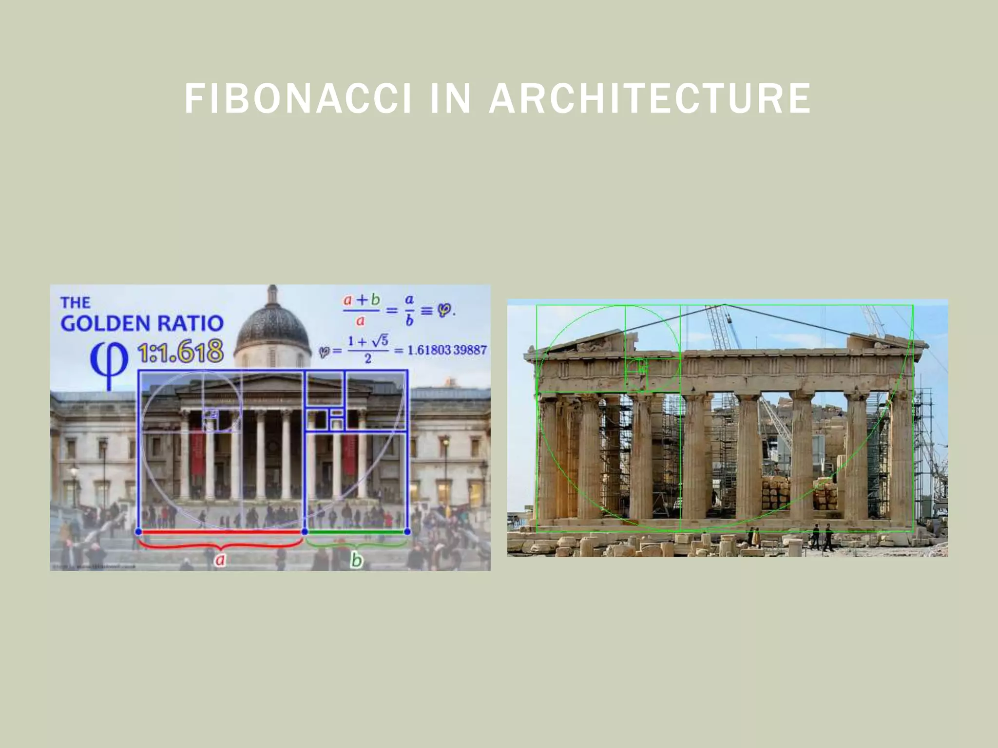 FIBONACCI IN ARCHITECTURE
 