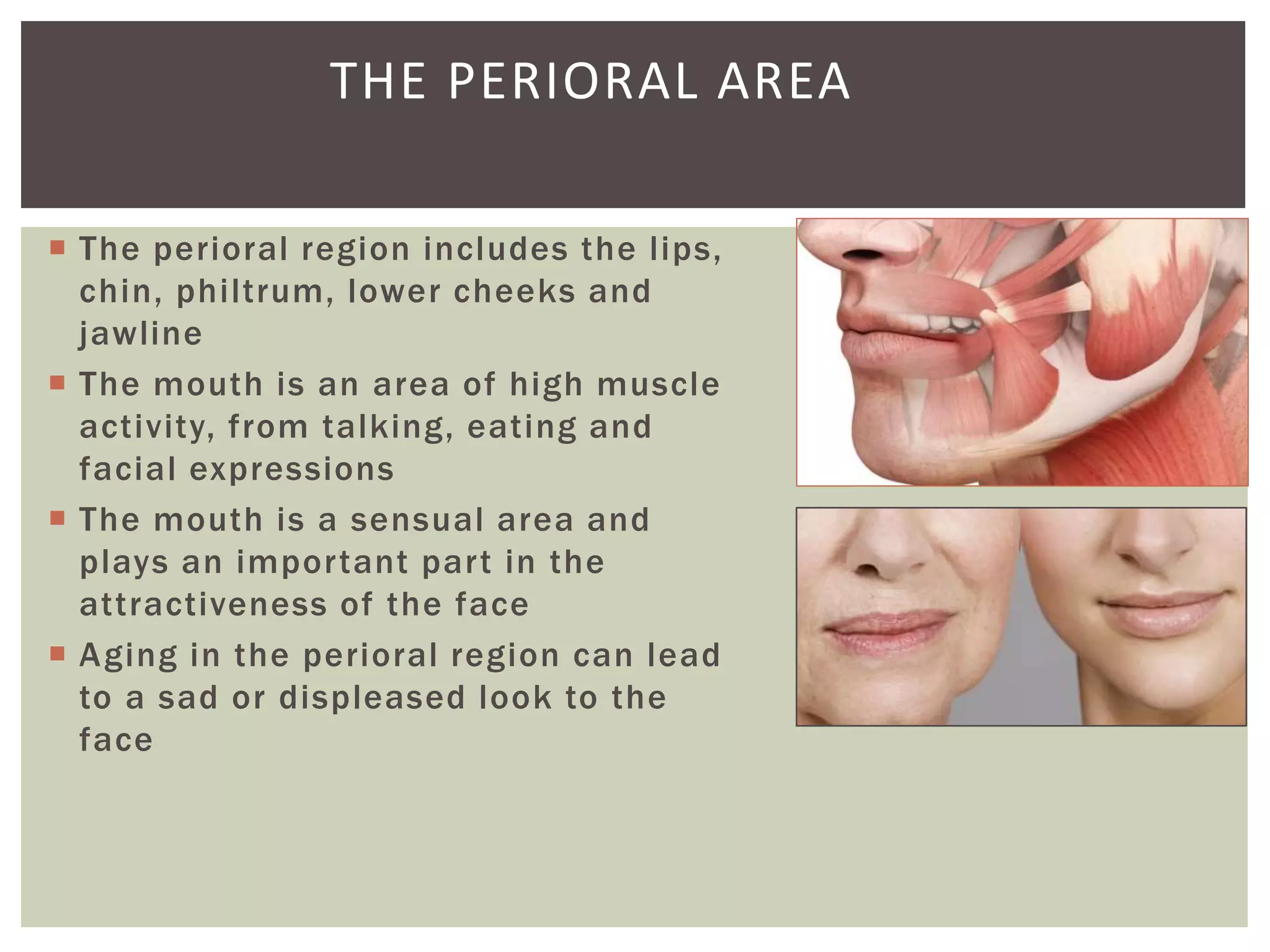 THE PERIORAL AREA
 The perioral region includes the lips,
chin, philtrum, lower cheeks and
jawline
 The mouth is an area of high muscle
activity, from talking, eating and
facial expressions
 The mouth is a sensual area and
plays an important part in the
attractiveness of the face
 Aging in the perioral region can lead
to a sad or displeased look to the
face
 