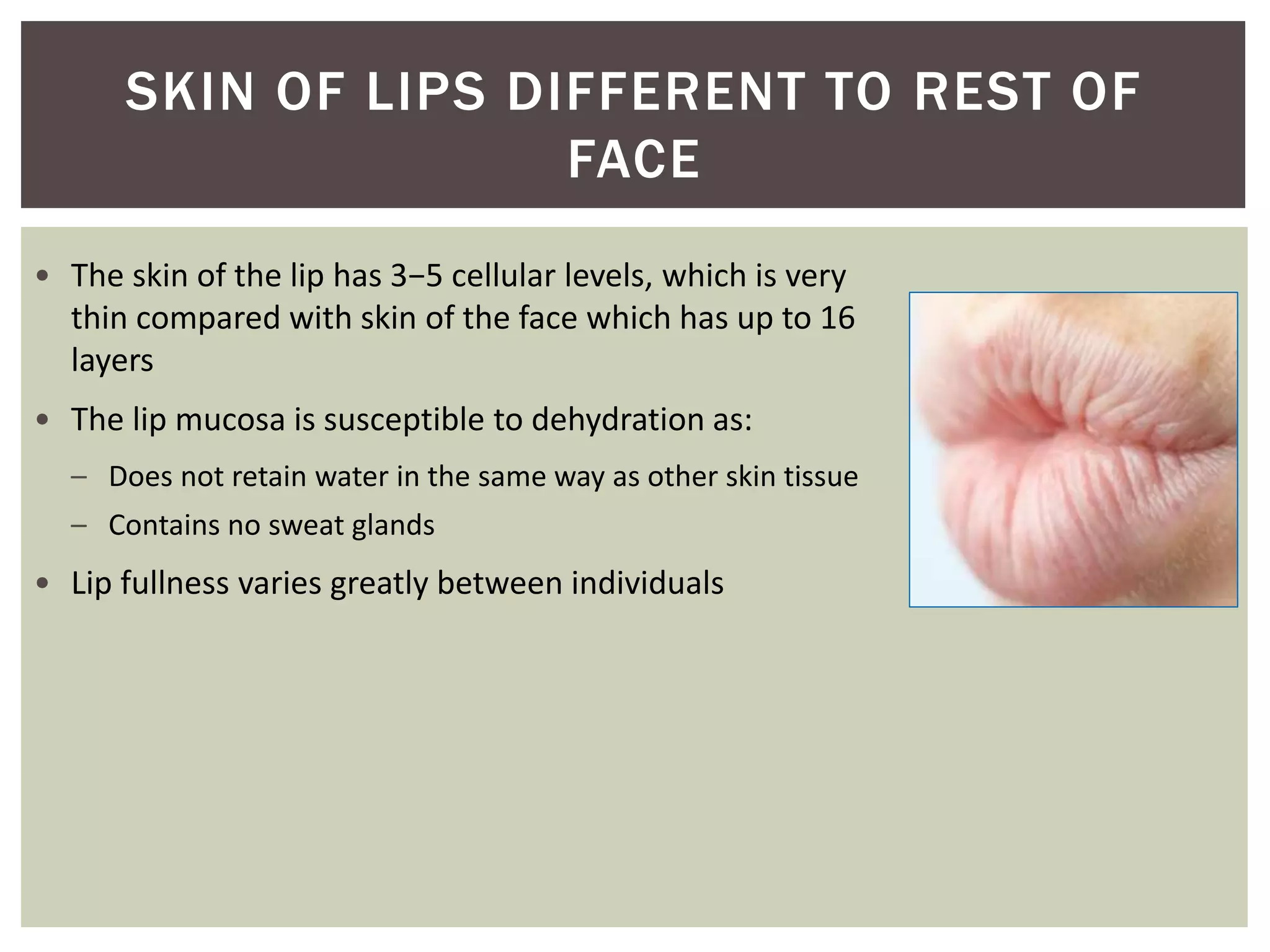 • The skin of the lip has 3−5 cellular levels, which is very
thin compared with skin of the face which has up to 16
layers
• The lip mucosa is susceptible to dehydration as:
– Does not retain water in the same way as other skin tissue
– Contains no sweat glands
• Lip fullness varies greatly between individuals
SKIN OF LIPS DIFFERENT TO REST OF
FACE
 