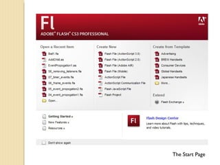 Foundation flash | PPT
