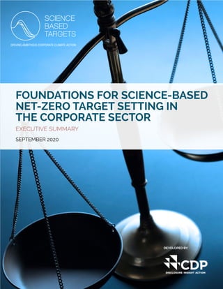 DISCLOSURE INSIGHT ACTION
FOUNDATIONS FOR SCIENCE-BASED
NET-ZERO TARGET SETTING IN
THE CORPORATE SECTOR
EXECUTIVE SUMMARY
SEPTEMBER 2020
DEVELOPED BY
 