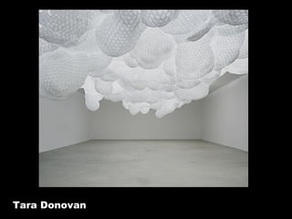 Tara Donovan 