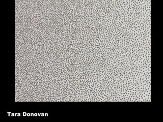 Tara Donovan 