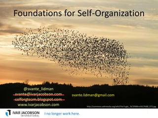 Foundations for Self-Organization




     @svante_lidman
svante@ivarjacobson.com         svante.lidman@gmail.com
selforgteam.blogspot.com
  www.ivarjacobson.com                  http://commons.wikimedia.org/wiki/File:Fugle,_%C3%B8rns%C3%B8_073.jpg

                                                                                                    1
               I no longer work here.
 
