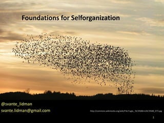 Foundations for Selforganization
        Foundations for Selforganization




@svante_lidman
svante.lidman@gmail.com   http://commons.wikimedia.org/wiki/File:Fugle,_%C3%B8rns%C3%B8_073.jpg

                                                                                      1
 