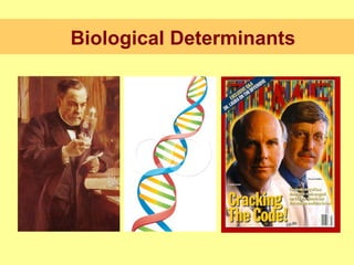Biological Determinants 