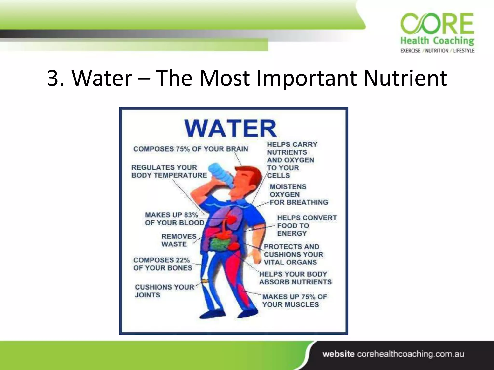 3. Water – The Most Important Nutrient
 