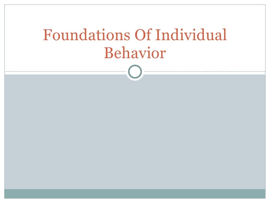 Foundations Of Individual Behavior