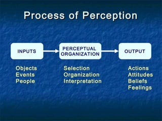Process of PerceptionProcess of Perception
PERCEPTUAL
ORGANIZATION
INPUTS OUTPUT
Objects
Events
People
Selection
Organization
Interpretation
Actions
Attitudes
Beliefs
Feelings
 