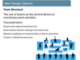 Team Stabilization Foundations of the Organizational Structure | PPT