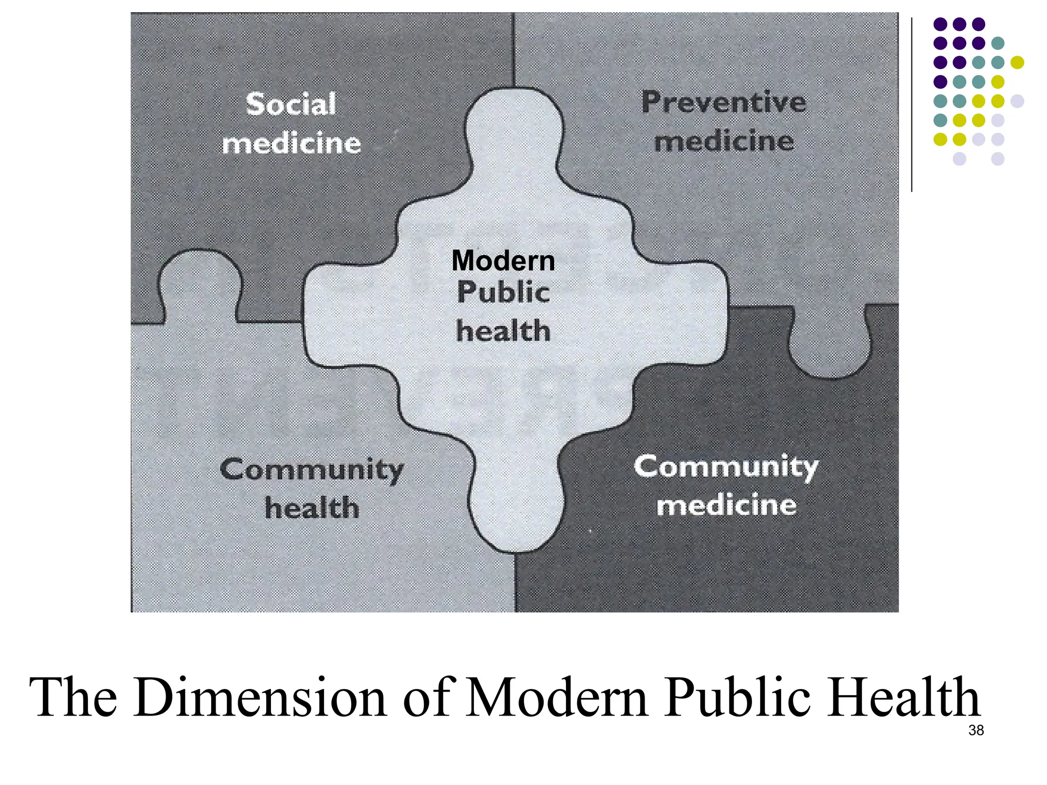 38
The Dimension of Modern Public Health
Modern
 