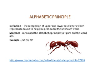 ALPHABETICPRINCIPLE
Definition – the	recognition	of	upper	and	lower	case	letters	which	
represent	a	sound	to	help	you	pronounce	the	unknown	word.
Sentence	- John	used	the	alphabetic	principle	to	figure	out	the	word	
ant.
Example	- /a/	/n/	/t/
http://www.teachertube.com/video/the-alphabet-principle-37726
 