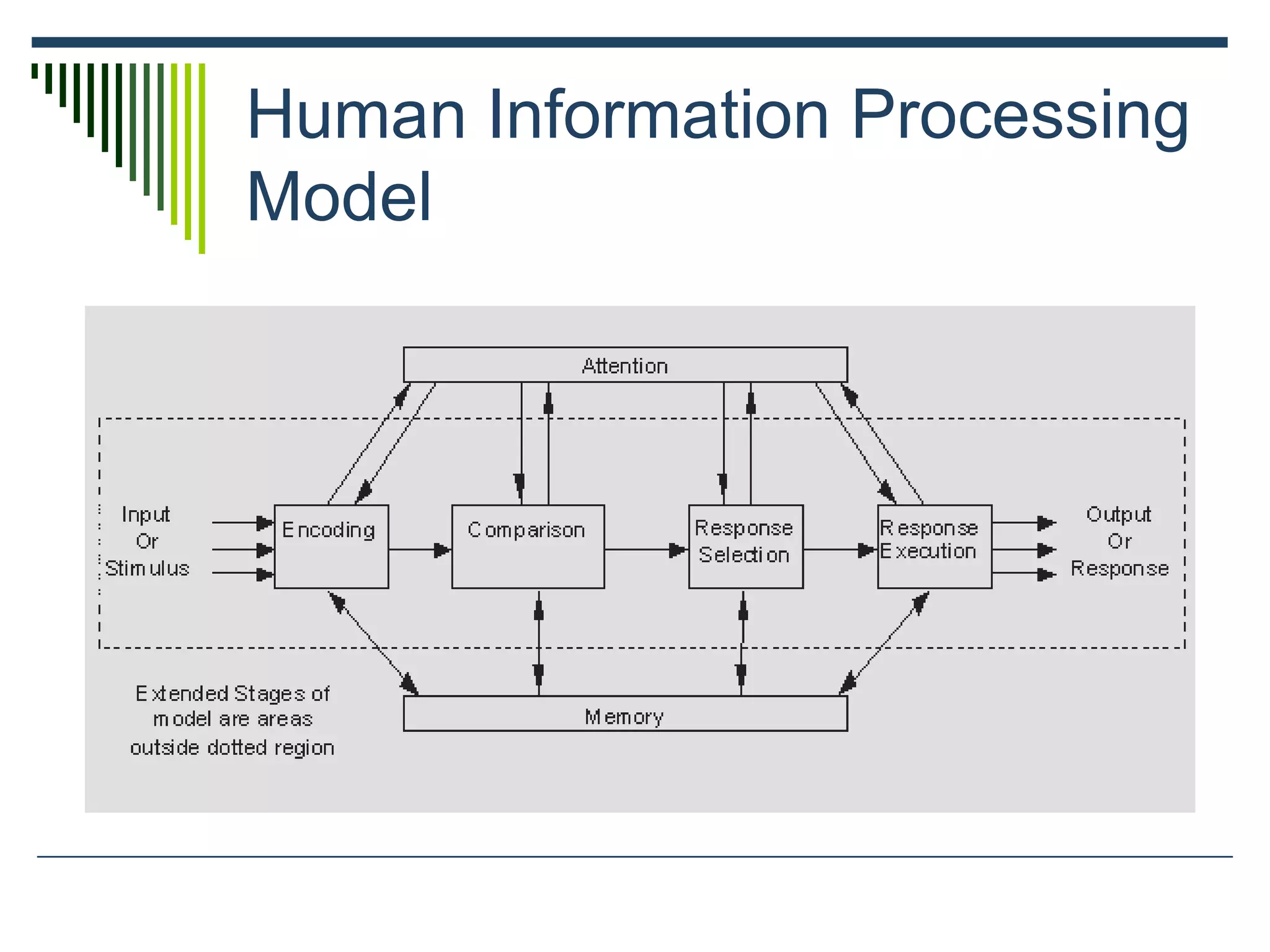 Human Information Processing
Model
 