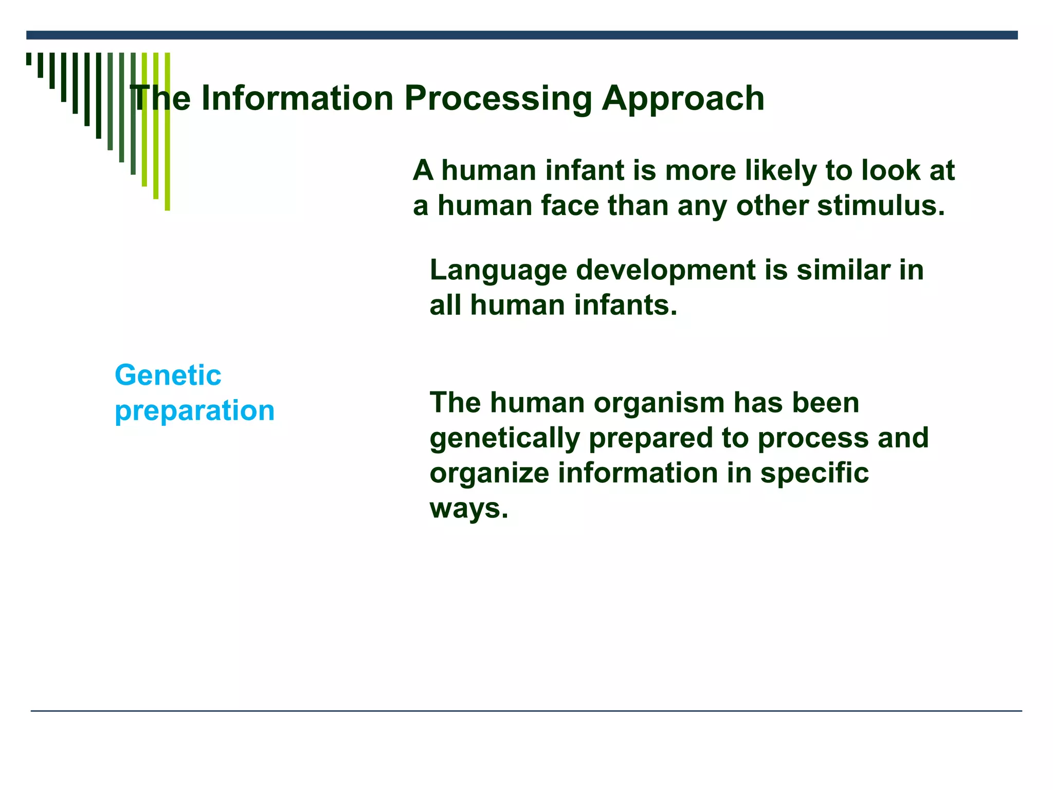 The Information Processing Approach
Genetic
preparation
A human infant is more likely to look at
a human face than any other stimulus.
Language development is similar in
all human infants.
The human organism has been
genetically prepared to process and
organize information in specific
ways.
 